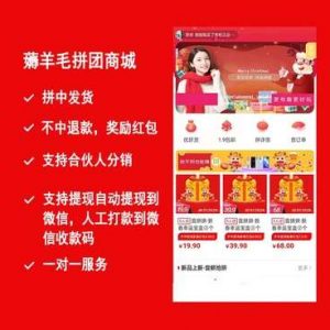 薅羊毛拼团商城小程序源码v2.8.6+前端-