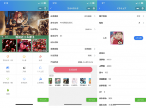 王者荣耀装逼神器助手小程序源码_支持多种流量主模式-