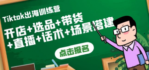 Tiktok开店运营赚钱课：开店+选品+带货+直播+话术+场景搭建！-