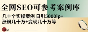 优秀网站SEO实操案例, 日引5000ip+涨粉百W+变现几十W-