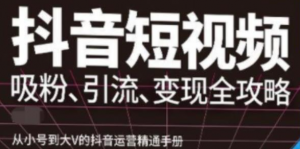 抖音视频号高级实操课程：从小号到大V的抖音运营精通手册（吸粉、引流、变现全攻略）-