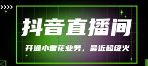 抖音直播间开通小雪花业务（外面收费288）最近超火-