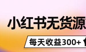 小红书无货源怎么赚钱：0投入起店，无脑图文精细化玩法，每天收益300+-