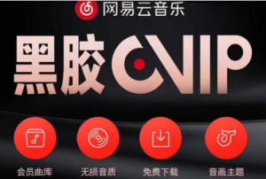 网易云音乐撸黑胶年卡及变现方法【收益可无限放大】-
