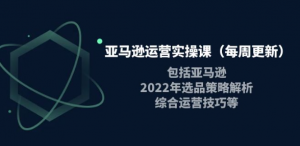 亚马逊运营实操课：亚马逊最新选品策略解析，综合运营技巧等-