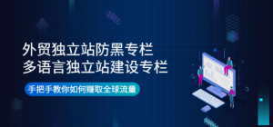 外贸独立站防黑+多语言独立站建设，手把手教你如何赚取全球流量-