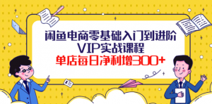 闲鱼电商零基础入门VIP实战课程，单店每日净利增300+（37节课）-