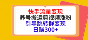 快手流量变现绝密教程，引导跳转群变现日赚300+-